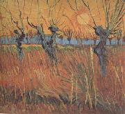 Vincent Van Gogh Willows at Sunset (nn04) oil painting reproduction
